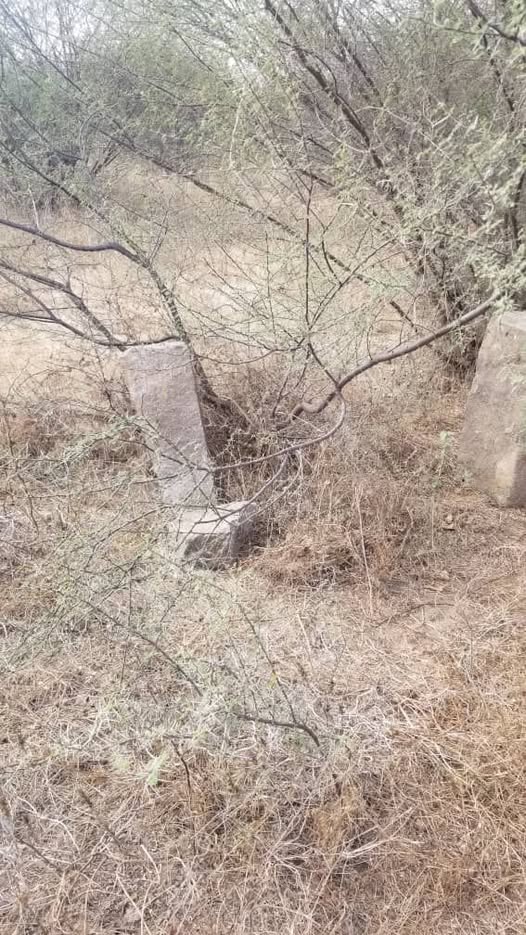 في المهجم ...